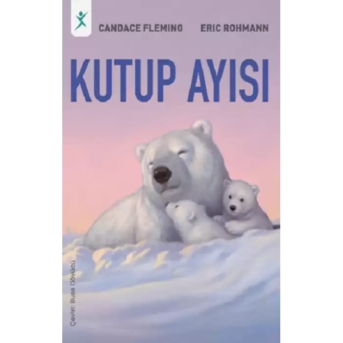 Kutup Ayısı