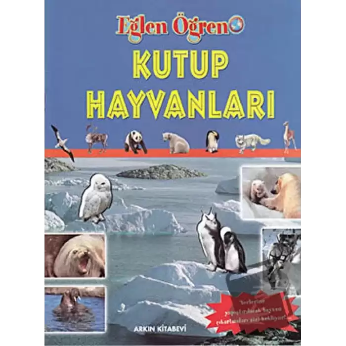 Kutup Hayvanları