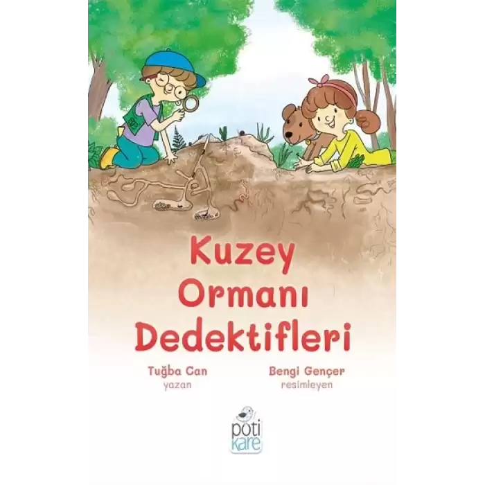 Kuzey Ormanı Dedektifleri