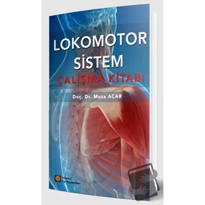 Lokomotor Sistem