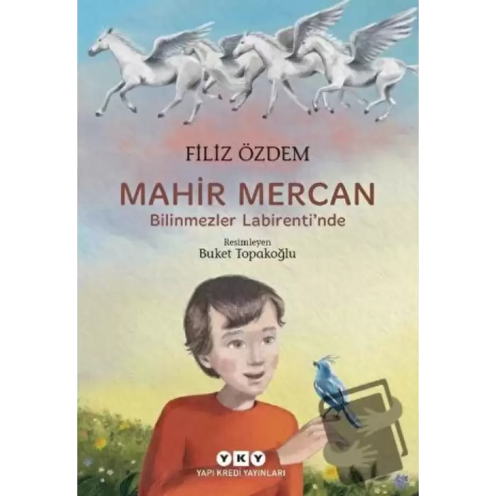 Mahir Mercan - Bilinmezler Labirentinde