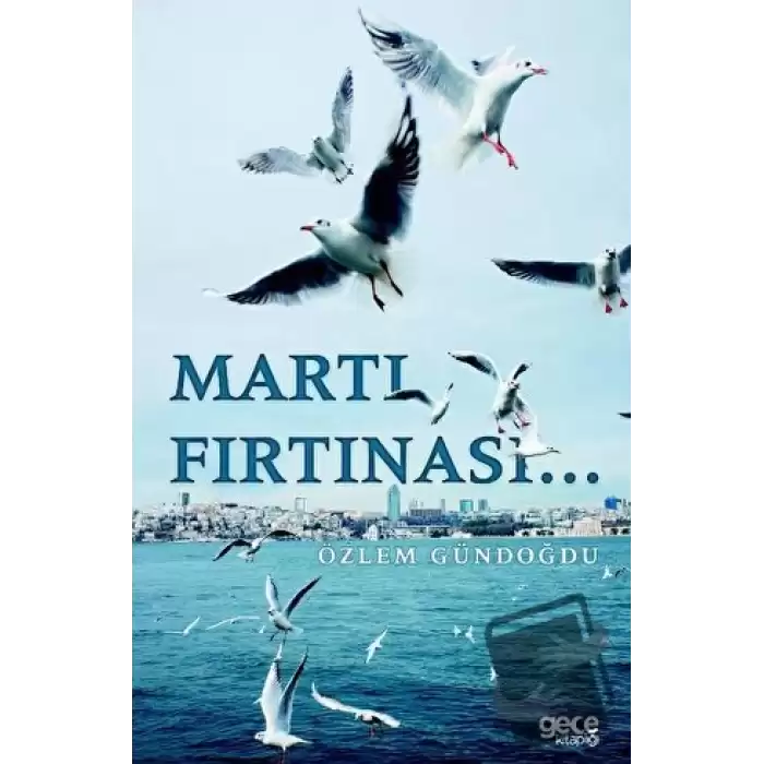 Martı Fırtınası