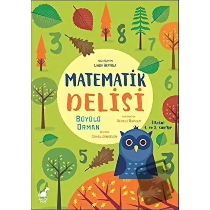 Matematik Delisi - Büyülü Orman