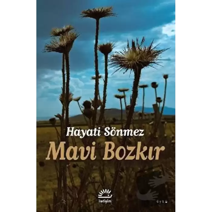 Mavi Bozkır