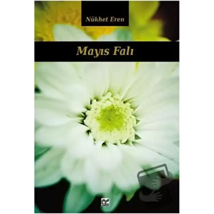 Mayıs Falı