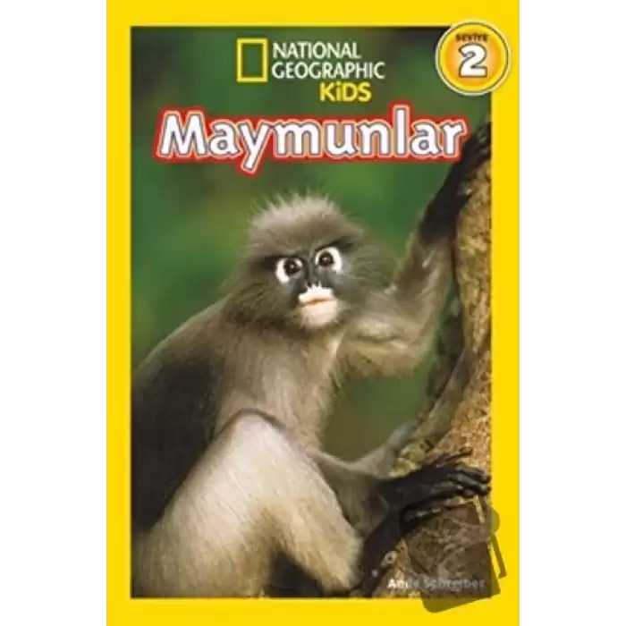 Maymunlar