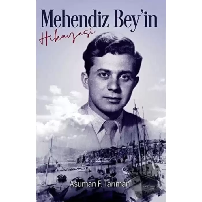 Mehendiz Beyin Hikayesi