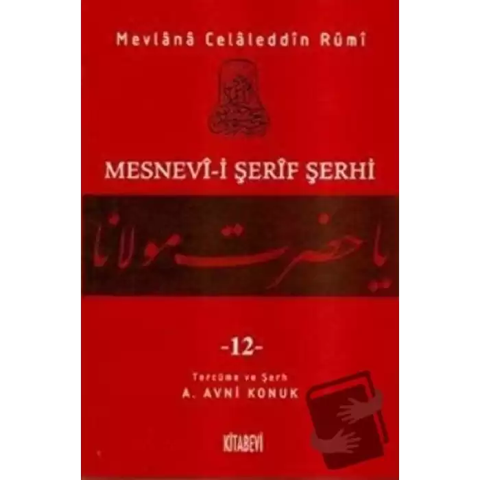 Mesnevi-i Şerif Şerhi Cilt: 12