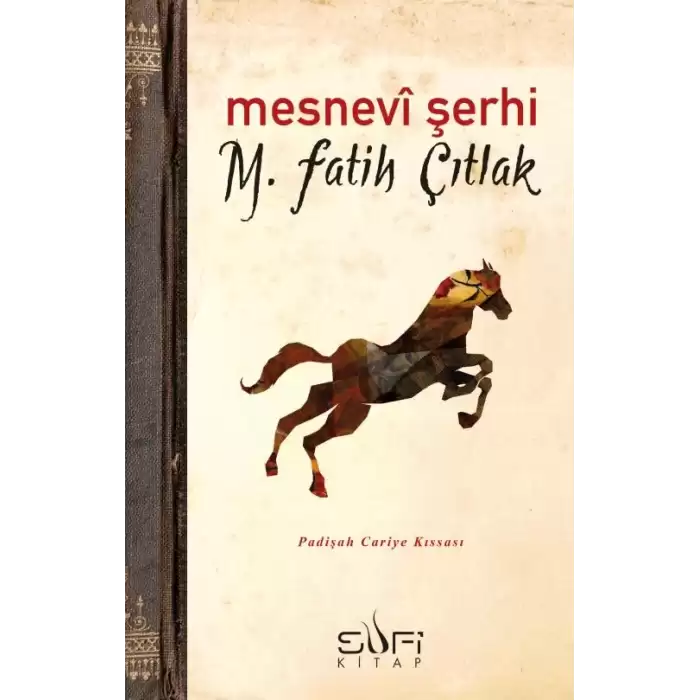 Mesnevi Şerhi