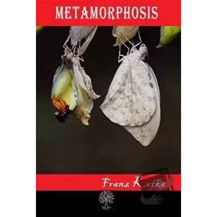 Metamorphosis