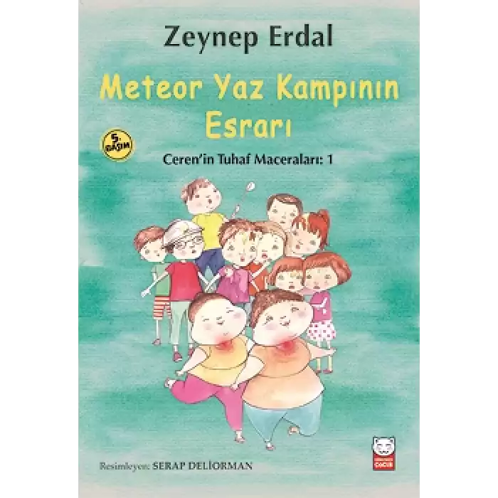 Meteor Yaz Kampının Esrarı