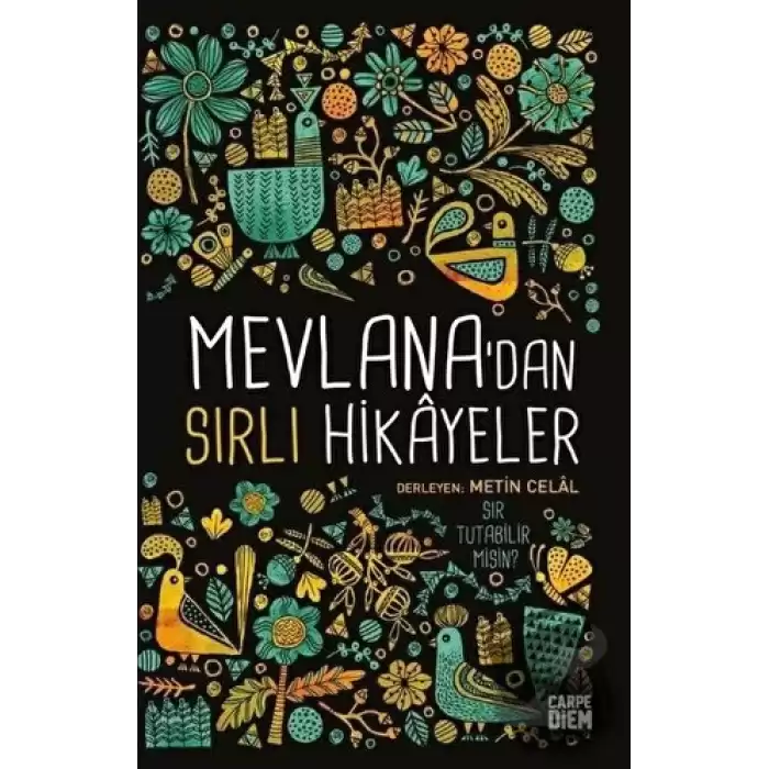 Mevlanadan Sırlı Hikayeler