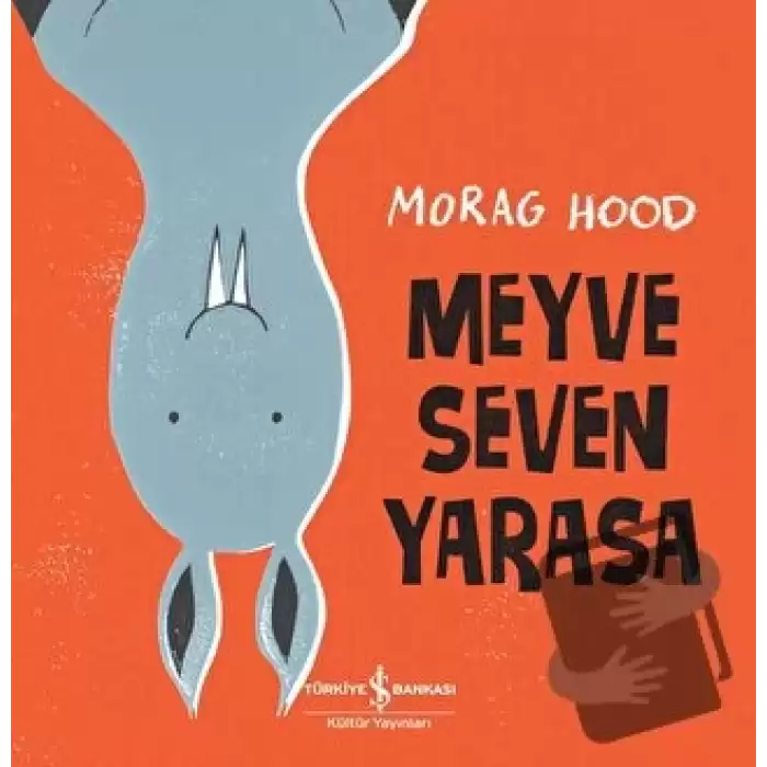 Meyve Seven Yarasa