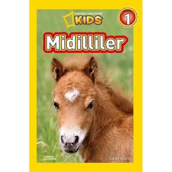 Midilliler