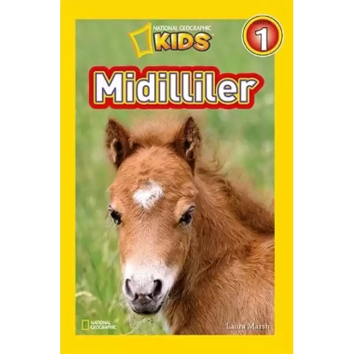 Midilliler