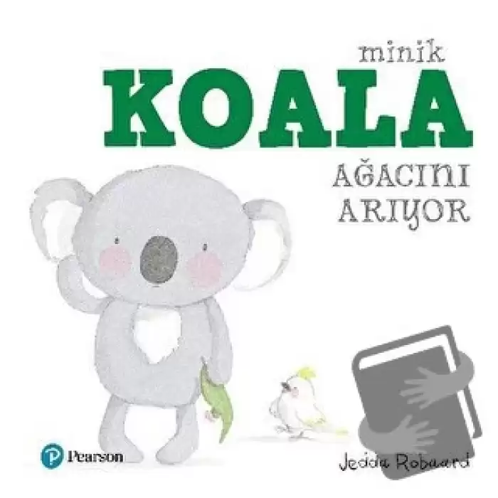 Minik Koala Ağacını Arıyor