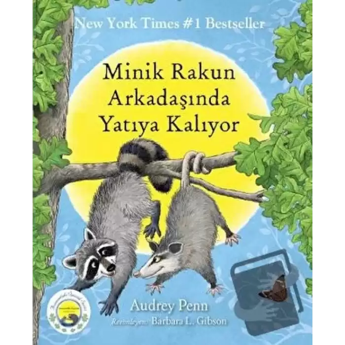 Minik Rakun Arkadaşında Yatıya Kalıyor