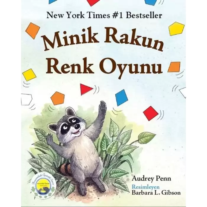 Minik Rakun Renk Oyunu