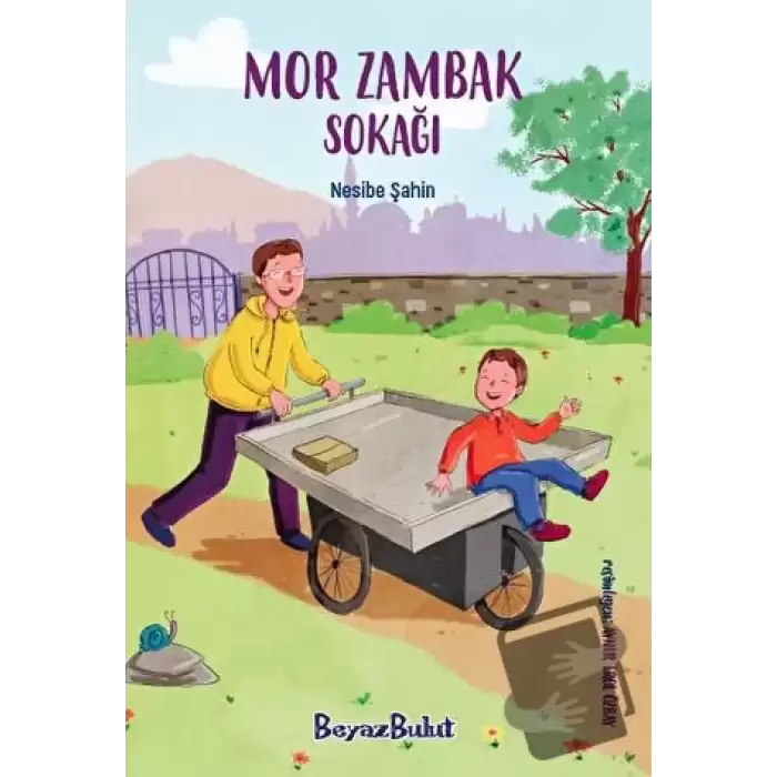 Mor Zambak Sokağı