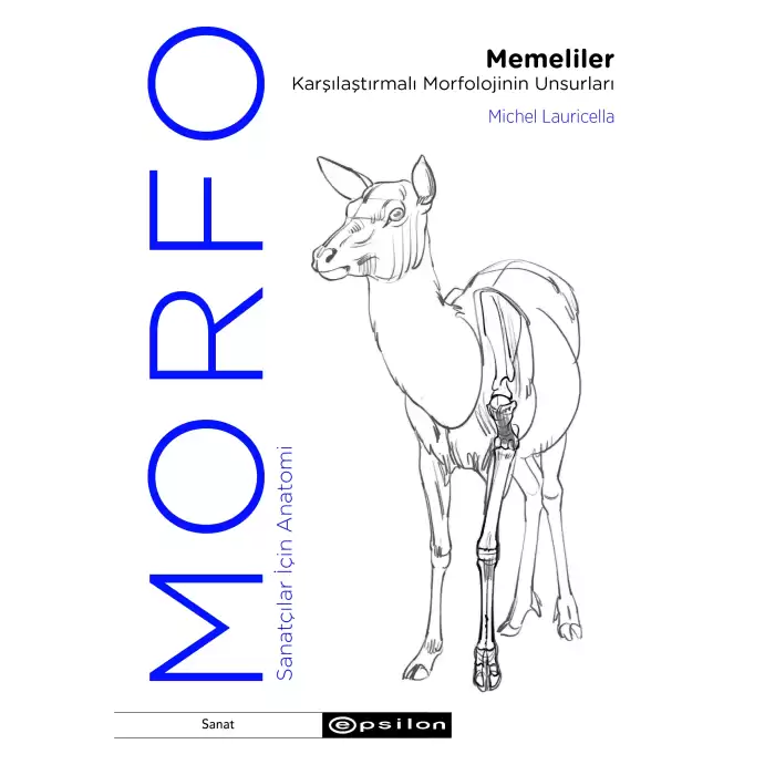 Morfo - Memeliler Karşılaştırmalı Morfolojinin Unsurları