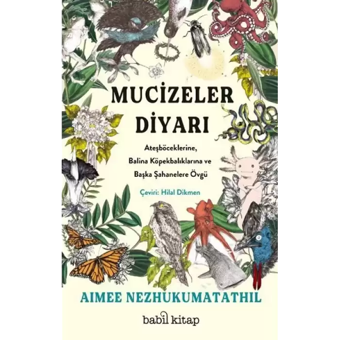 Mucizeler Diyarı: Ateşböceklerine, Balina Köpekbalıklarına ve Başka Şahanelere Övgü