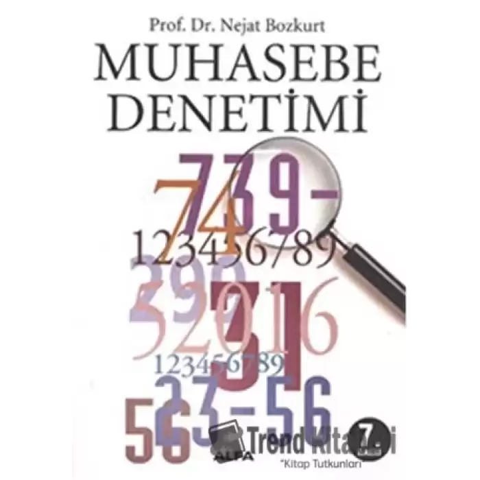 Muhasebe Denetimi