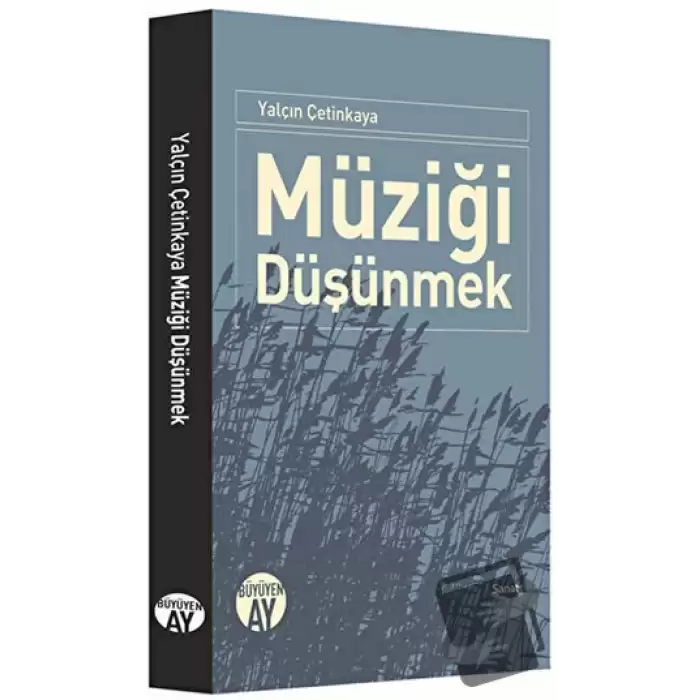 Müziği Düşünmek