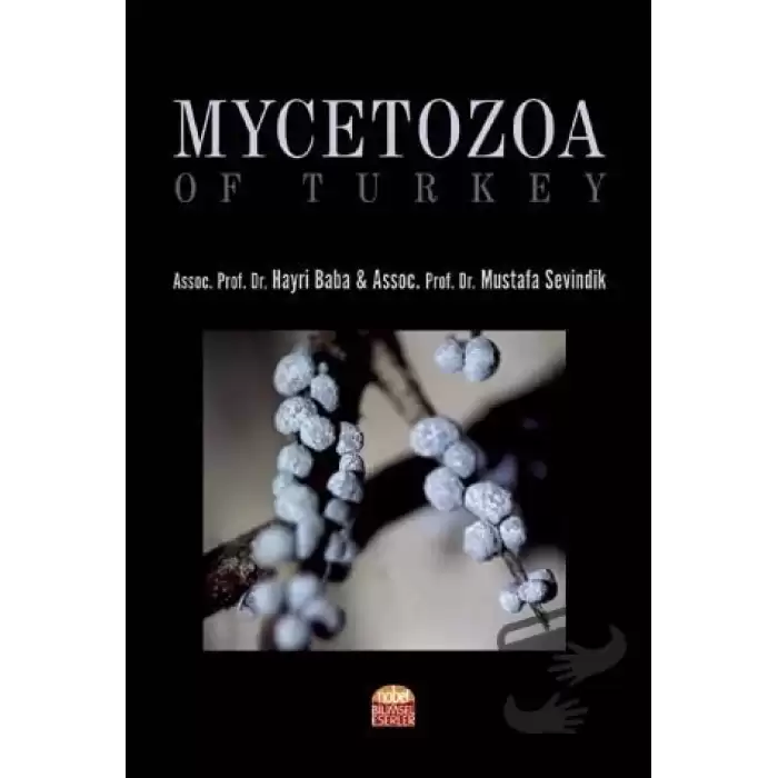 Mycetozoa of Turkey