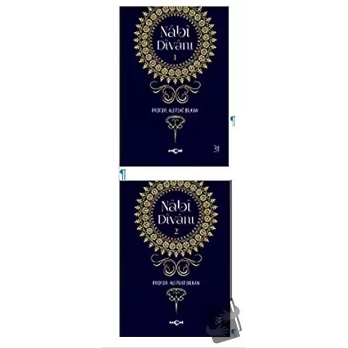 Nabi Divanı (2 Kitap Takım)