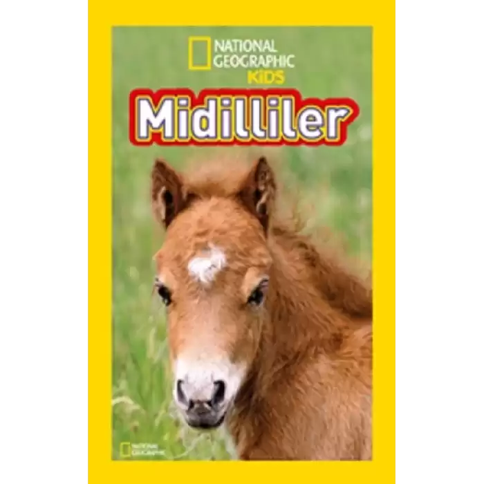 National Geographic Kids Midilliler