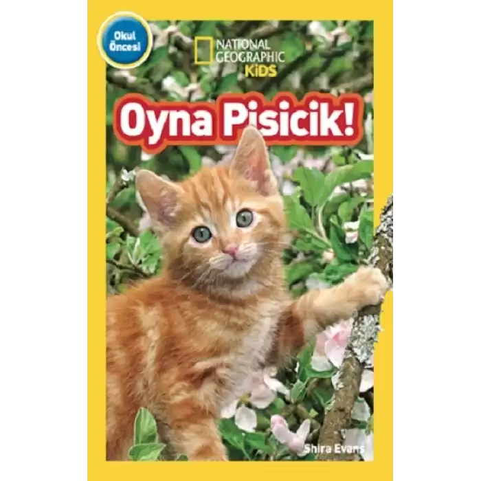 National Geographic Kids - Oyna Pisicik!