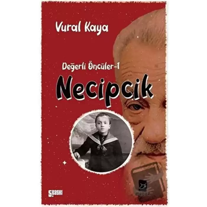 Necipcik