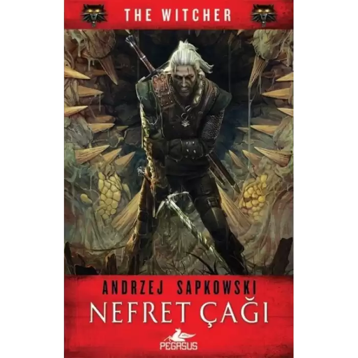 Nefret Çağı - The Witcher Serisi 4