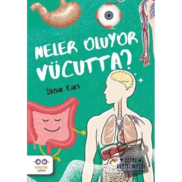 Neler Oluyor Vücutta? – Cezve Ansiklopedi