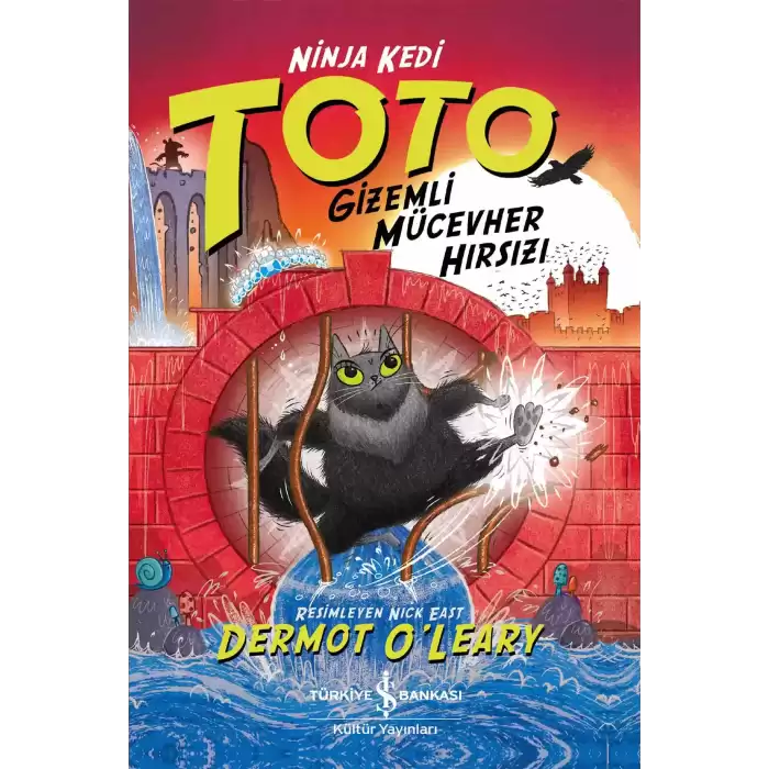 Ninja Kedi Toto - Gizemli Mücevher Hırsızı