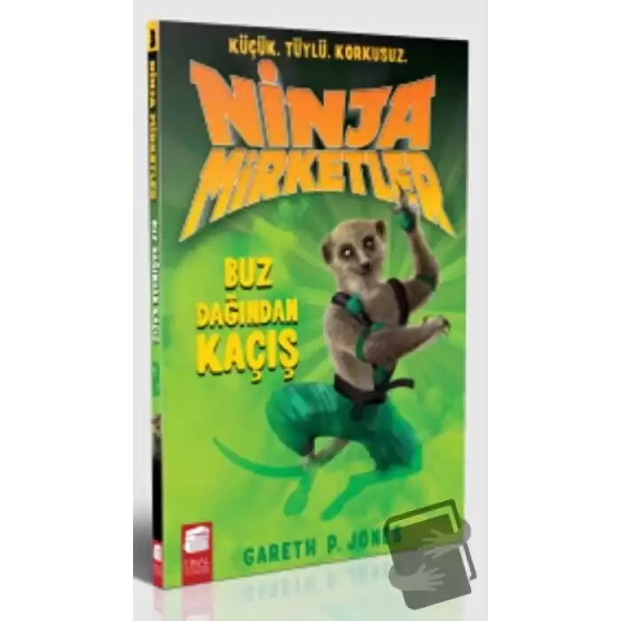 Ninja Mirketler - Buz Dağından Kaçış