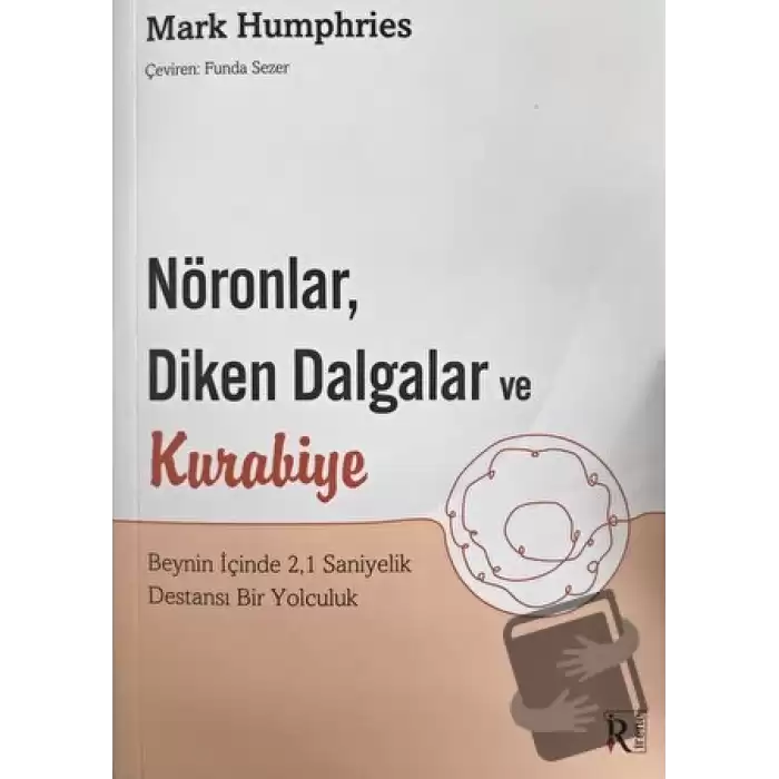 Nöronlar, Diken Dalgalar ve Kurabiye