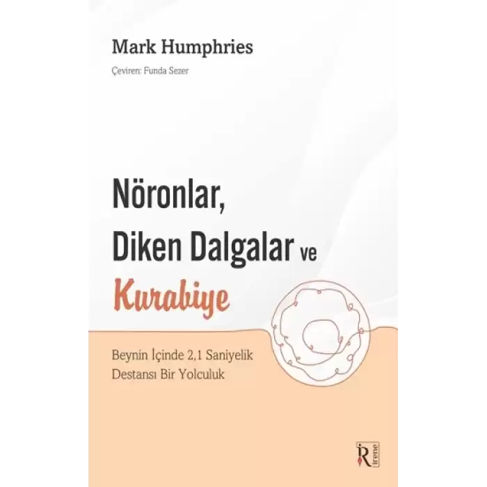 Nöronlar Diken Dalgalar Ve Kurabiye