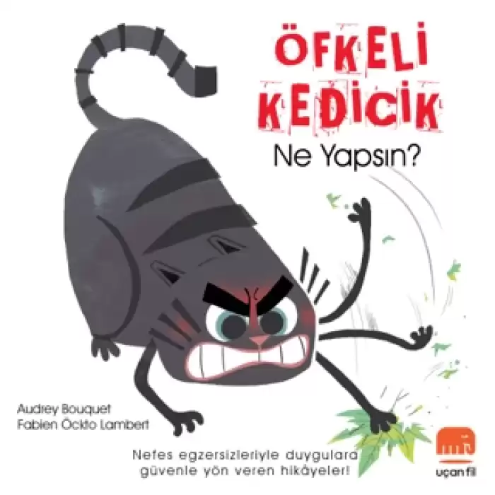 Öfkeli Kedicik Ne Yapsın?