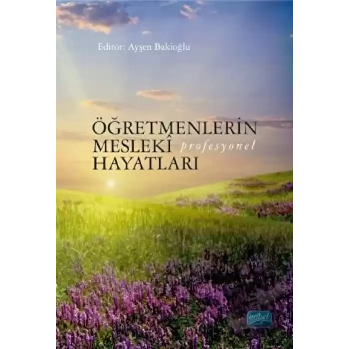 Öğretmenlerin Mesleki (Profesyonel) Hayatları