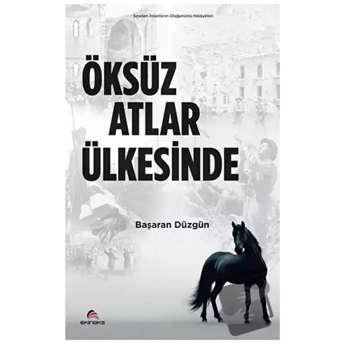 Öksüz Atlar Ülkesinde