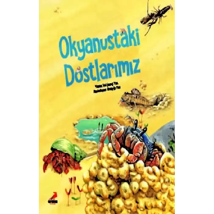 Okyanustaki Dostlarımız