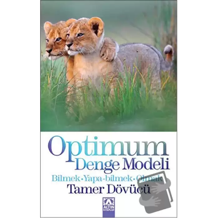 Optimum Denge Modeli