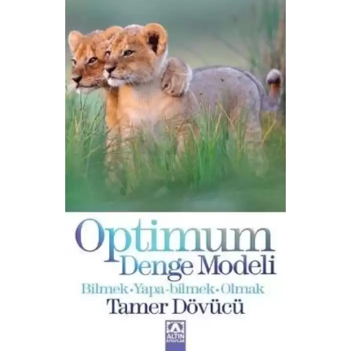 Optimum Denge Modeli