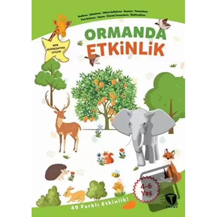 Ormanda Etkinlik