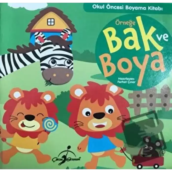 Örneğe Bak ve Boya 4