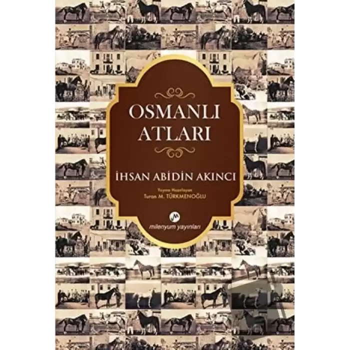 Osmanlı Atları