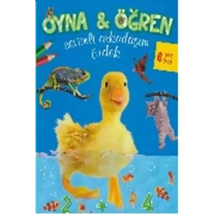 Oyna   Öğren - Sevimli Arkadaşım Ördek