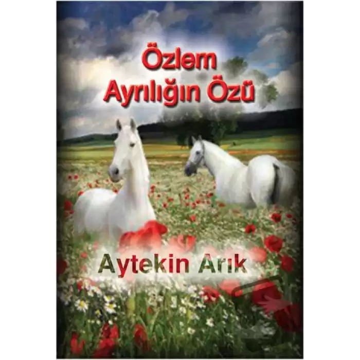 Özlem Ayrılığın Özü