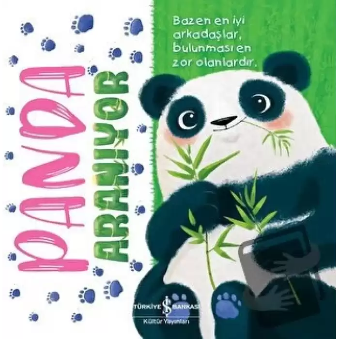 Panda Aranıyor